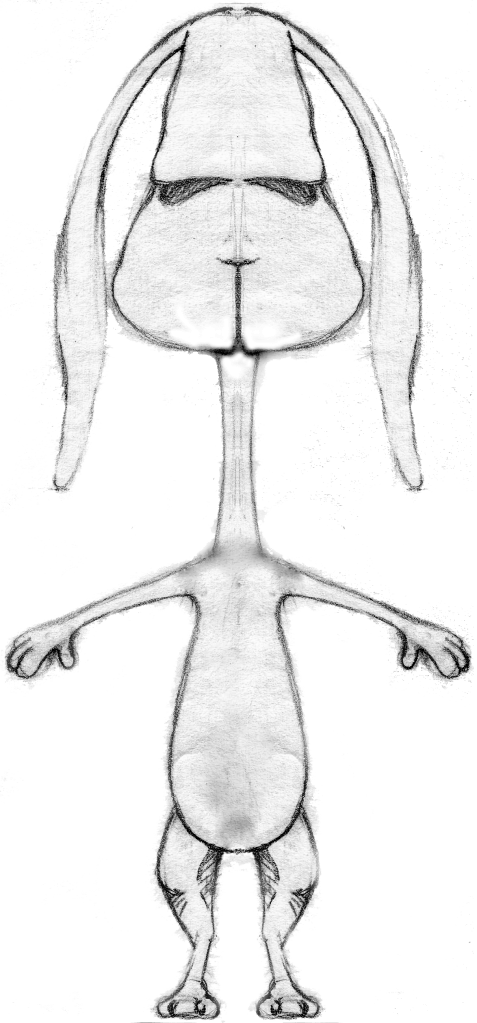 Bunny Construction Front